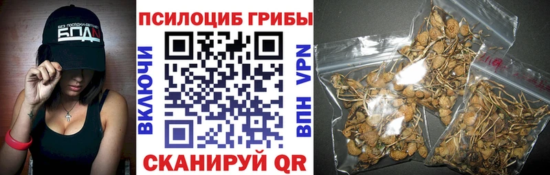 наркотики  Терек  нарко площадка какой сайт  Галлюциногенные грибы мухоморы 